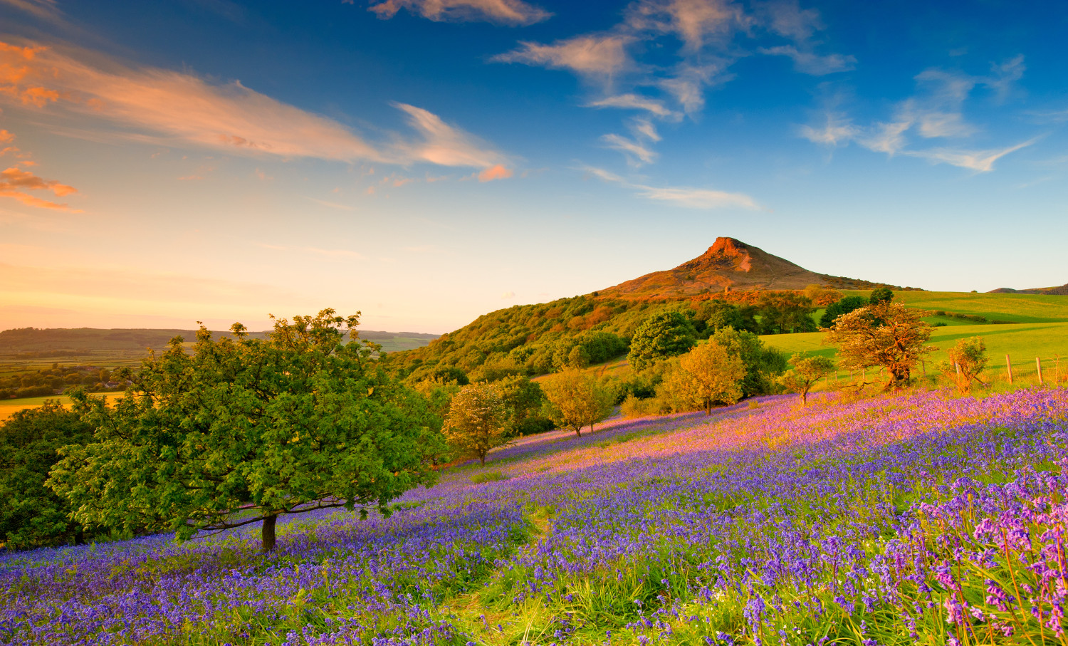Roseberry Topping (C) Colin Carter