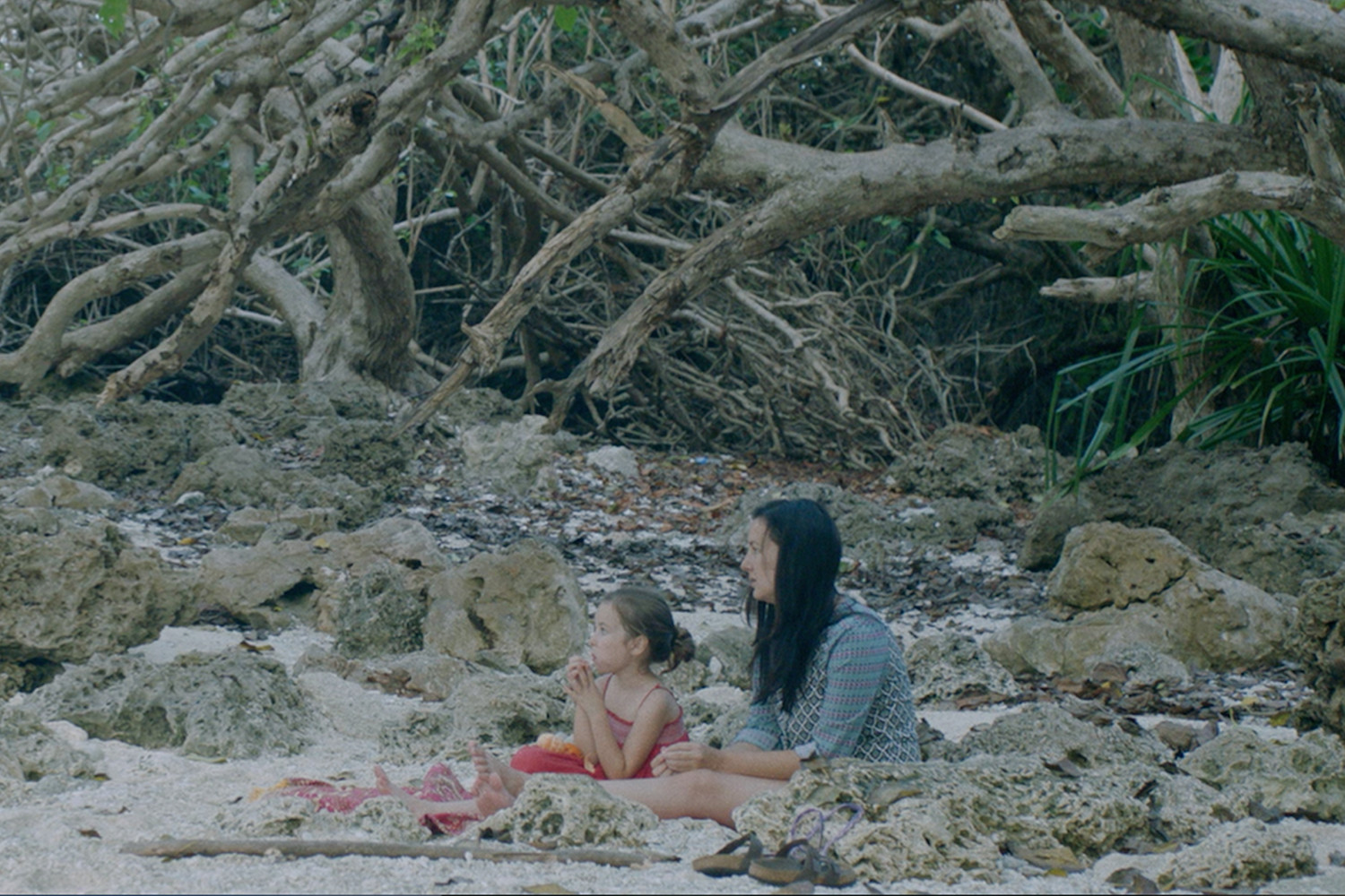 Work by local producer at Tribeca Film Festival